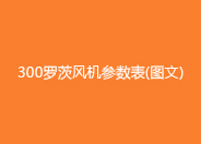 300黄瓜视频污污污鼓風機參數型號.jpg